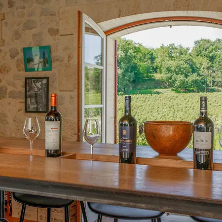 Chateau Des Etoiles Samonac