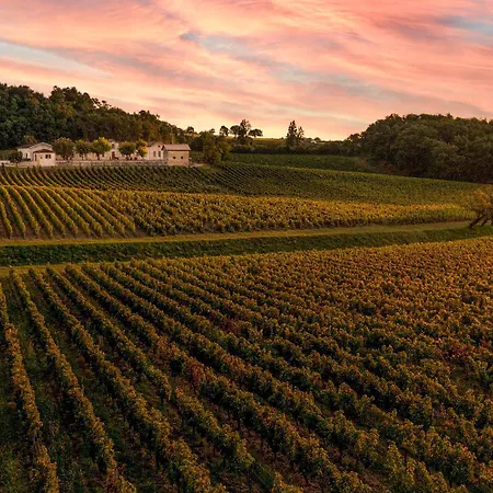 Chateau Des Etoiles Samonac